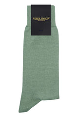 Classic Men's Socks - Basil