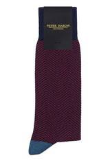 Lux Taylor Men's Socks - Navy Red