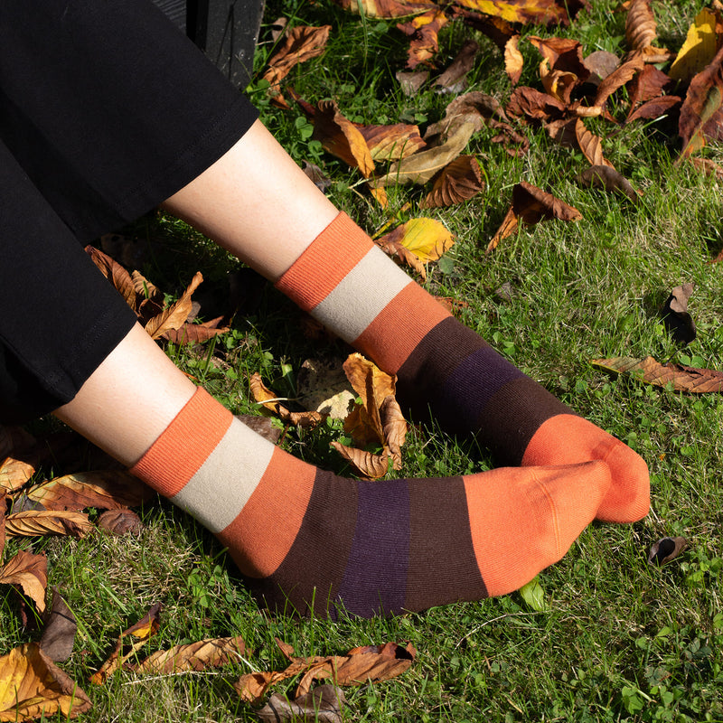 Block Stripe Women's Socks - Autumn