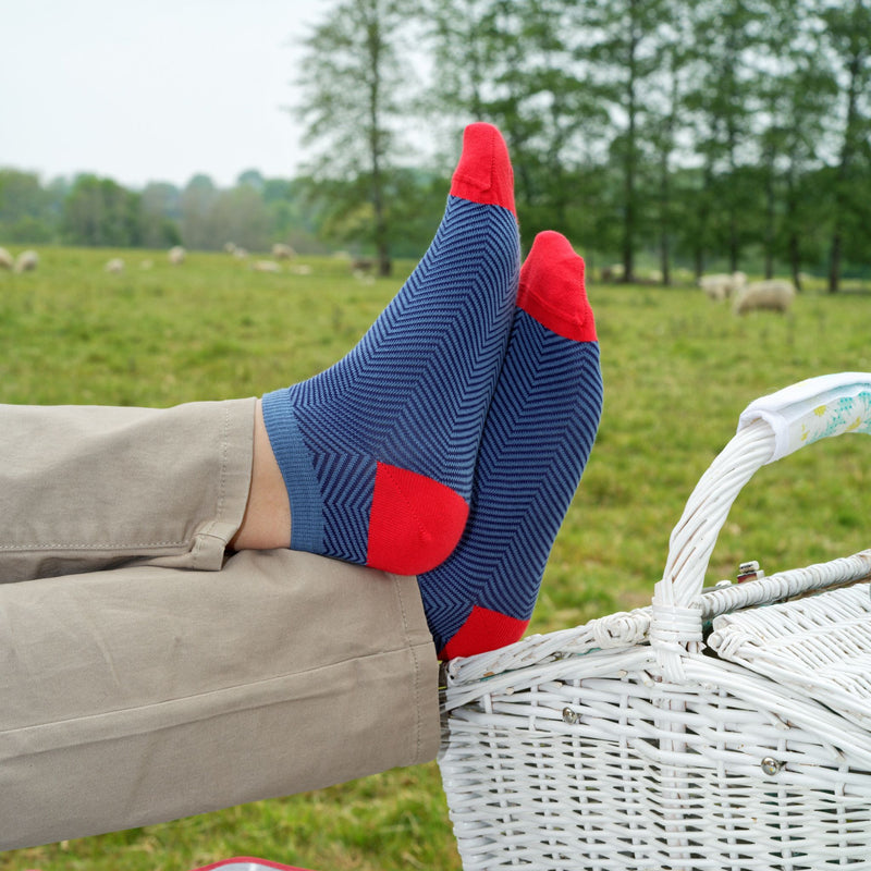 Man with feet up on picnic basket wearing tan trousers and blue Lux Taylor men's luxury trainer socks by Peper Harow